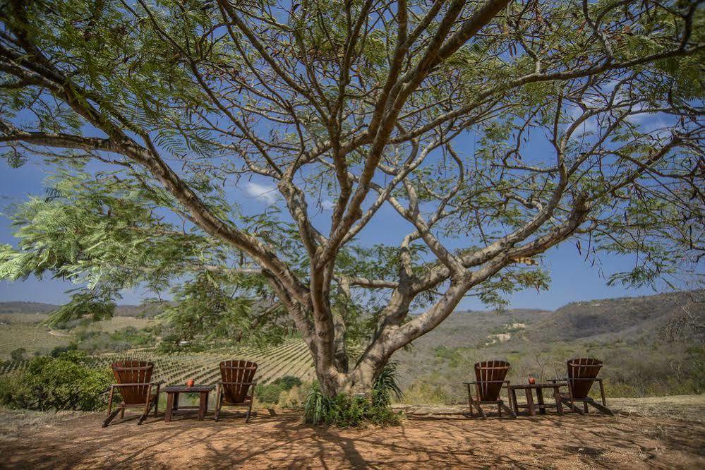 Abangane Guest Lodge Hazyview Exterior photo