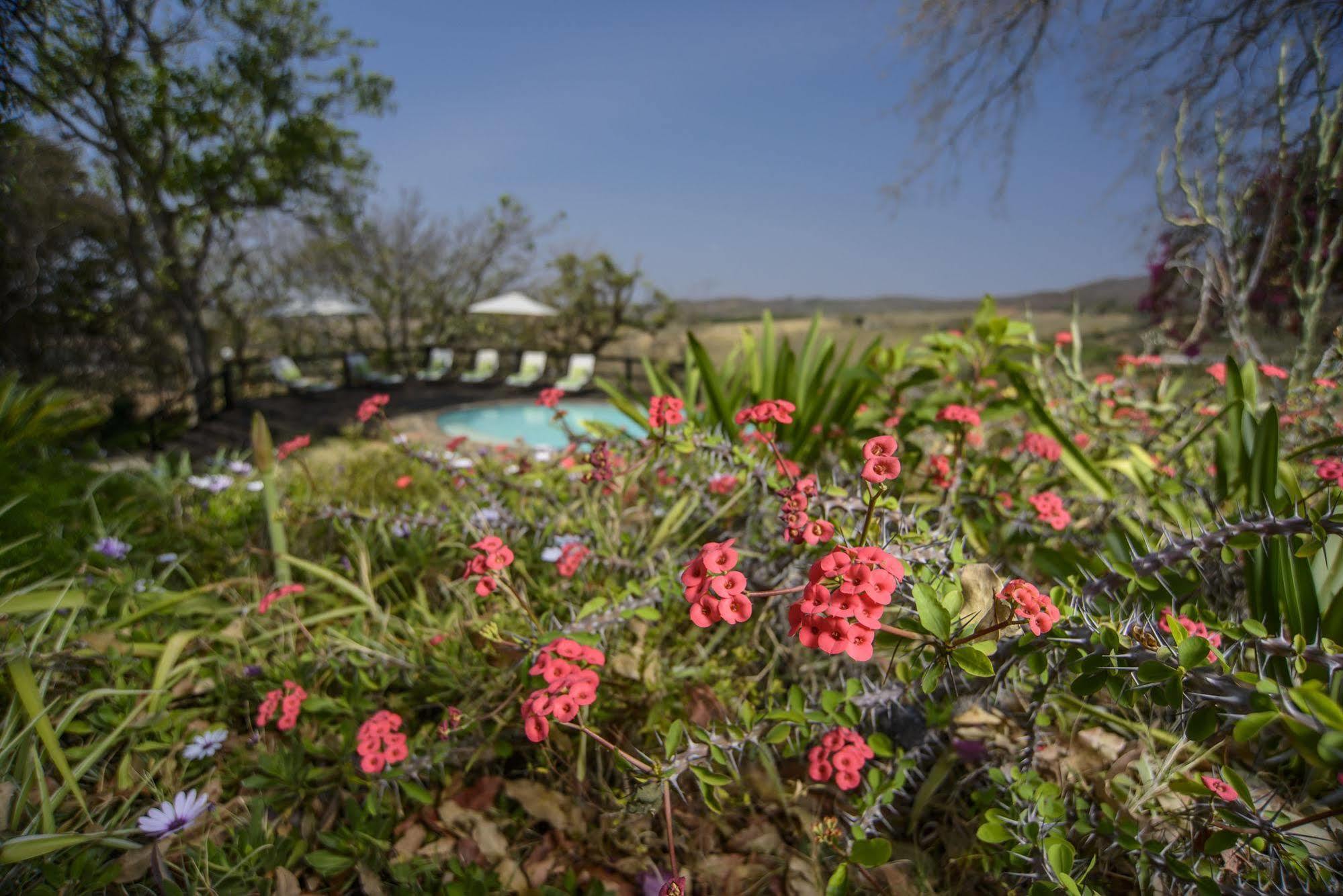 Abangane Guest Lodge Hazyview Exterior photo