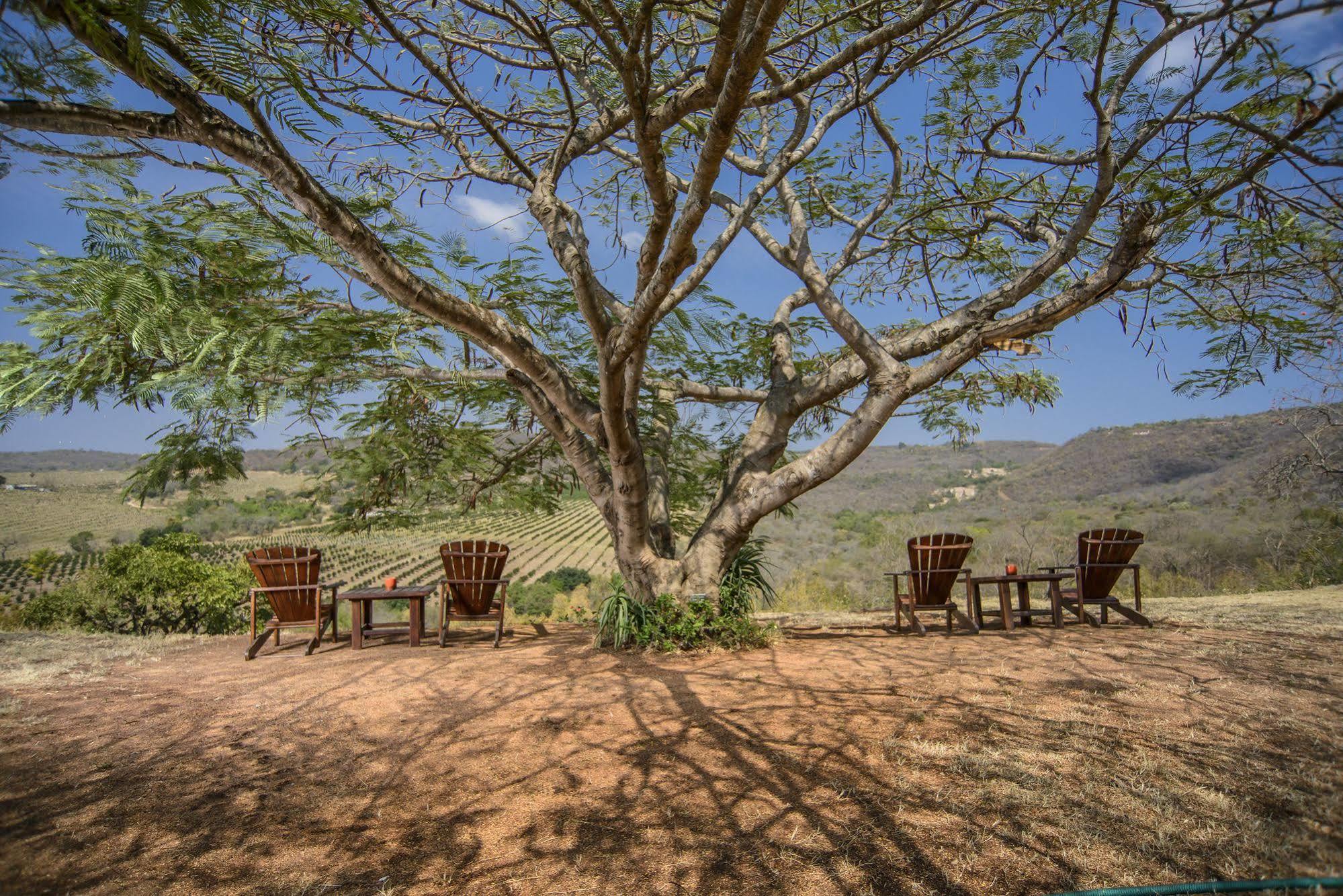 Abangane Guest Lodge Hazyview Exterior photo